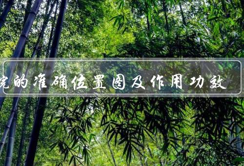 中脘的准确位置图及作用功效