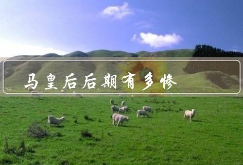 马皇后后期有多惨