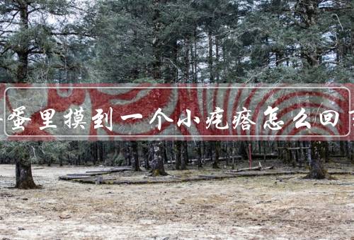 男人蛋蛋里摸到一个小疙瘩怎么回事