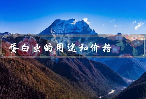 蛋白虫的用途和价格