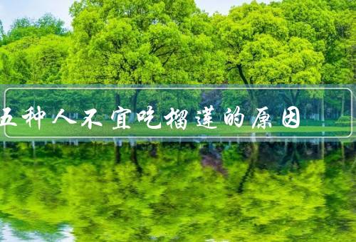五种人不宜吃榴莲的原因