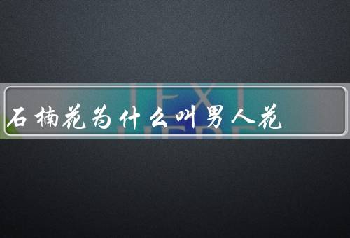 石楠花为什么叫男人花