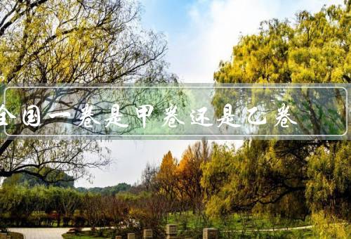全国一卷是甲卷还是乙卷