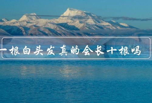 拔一根白头发真的会长十根吗