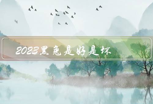 2023黑兔是好是坏