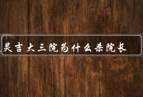 庞灵吉大三院为什么杀院长
