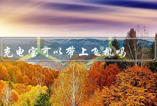 充电宝可以带上飞机吗