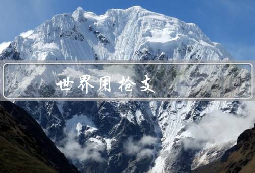 世界用枪支