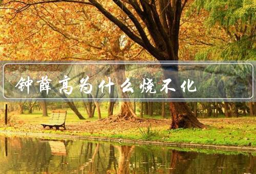 钟薛高为什么烧不化