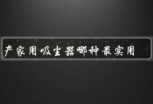 国产家用吸尘器哪种最实用
