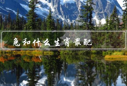 兔和什么生肖最配