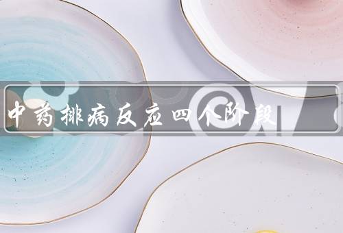 中药排病反应四个阶段