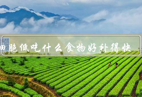 白细胞低吃什么食物好补得快