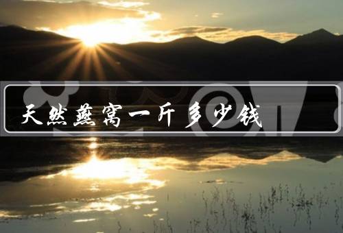 天然燕窝一斤多少钱