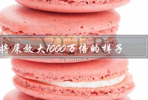 将屎放大1000万倍的样子