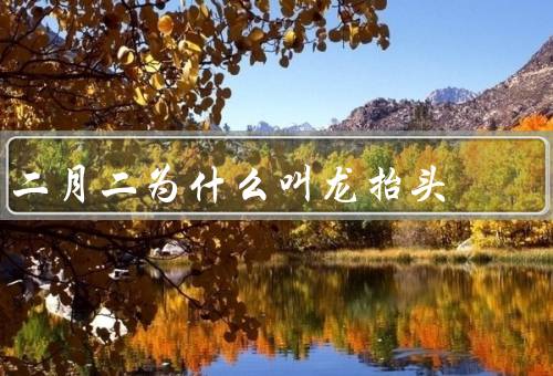二月二为什么叫龙抬头