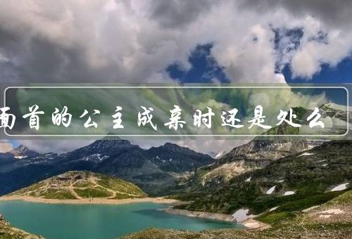 养面首的公主成亲时还是处么