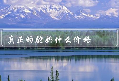 真正的驼奶什么价格