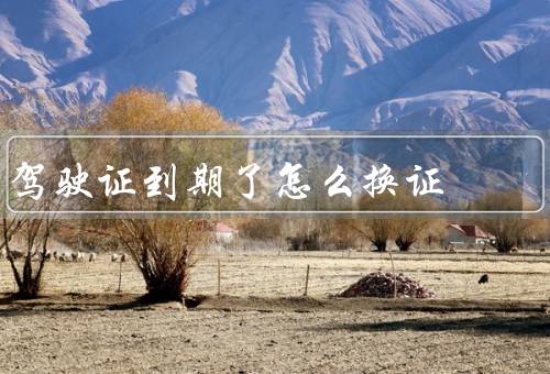 驾驶证到期了怎么换证