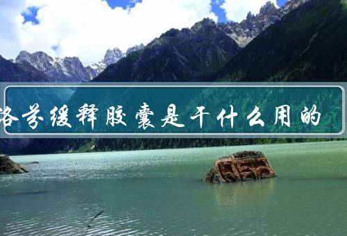 布洛芬缓释胶囊是干什么用的