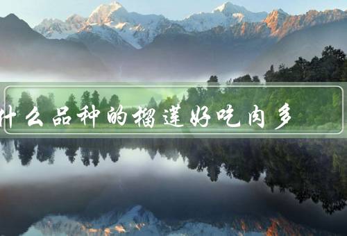 什么品种的榴莲好吃肉多