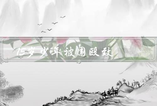 15岁少年被围殴致