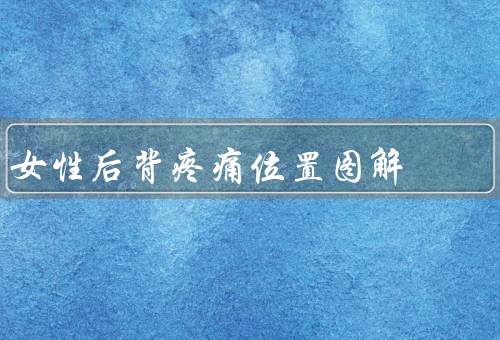 女性后背疼痛位置图解