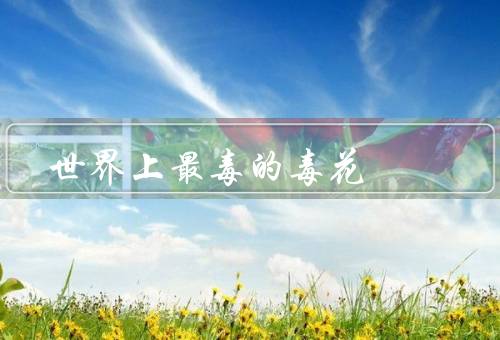 世界上最毒的毒花
