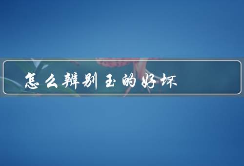 怎么辨别玉的好坏