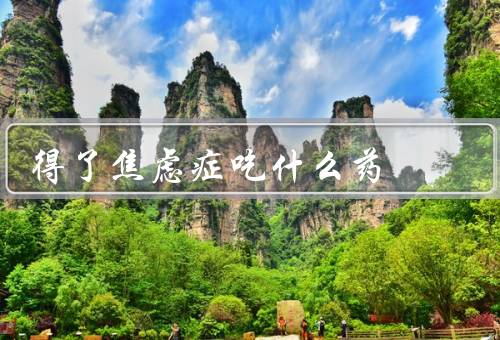 得了焦虑症吃什么药
