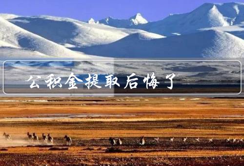 公积金提取后悔了