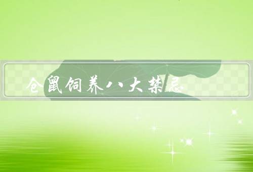 仓鼠饲养八大禁忌