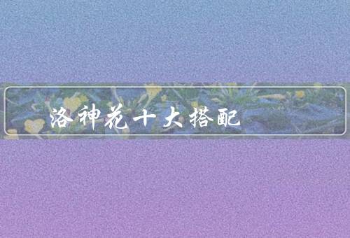 洛神花十大搭配