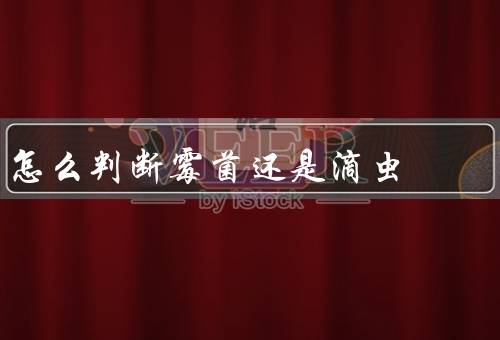 怎么判断霉菌还是滴虫