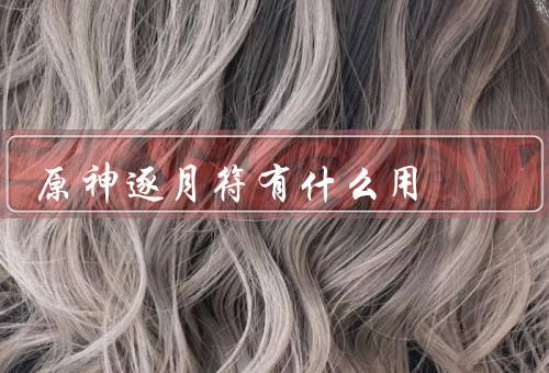 原神逐月符有什么用