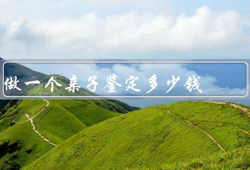做一个亲子鉴定多少钱