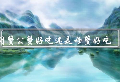 大闸蟹公蟹好吃还是母蟹好吃
