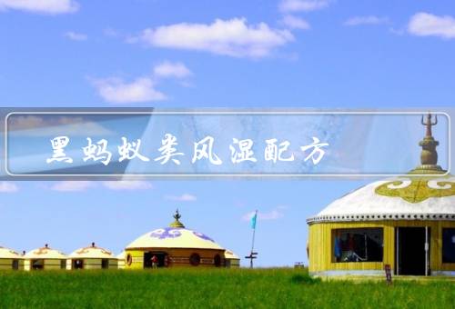 黑蚂蚁类风湿配方