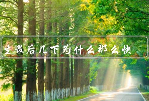 男生最后几下为什么那么快
