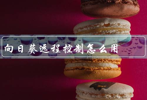 向日葵远程控制怎么用