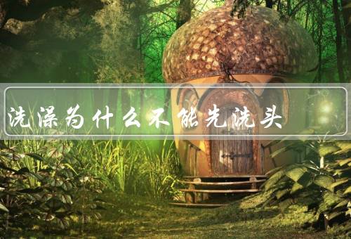 洗澡为什么不能先洗头