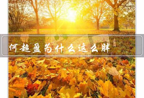 何超盈为什么这么胖
