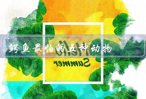 鳄鱼最怕的五种动物