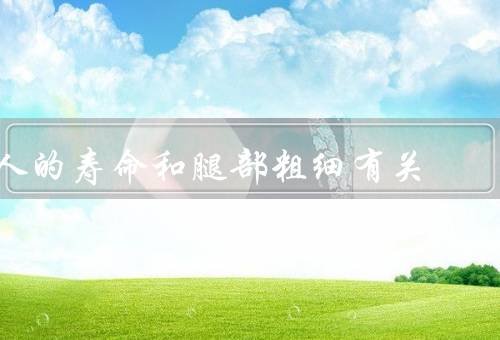 人的寿命和腿部粗细有关