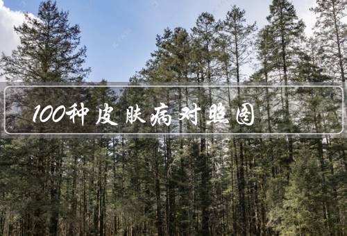 100种皮肤病对照图，各种传染病／病菌感染皮肤症状详图
