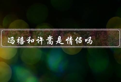 冯禧和许嵩是情侣吗