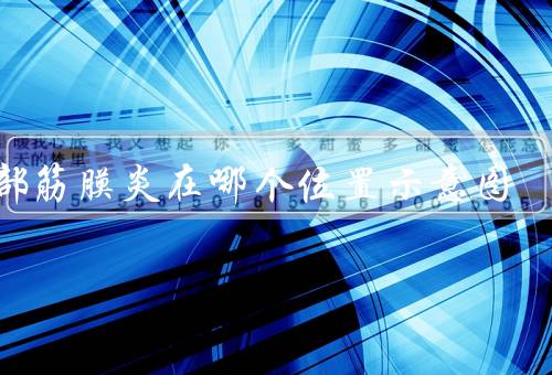 背部筋膜炎在哪个位置示意图