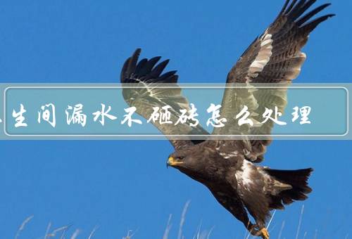 卫生间漏水不砸砖怎么处理