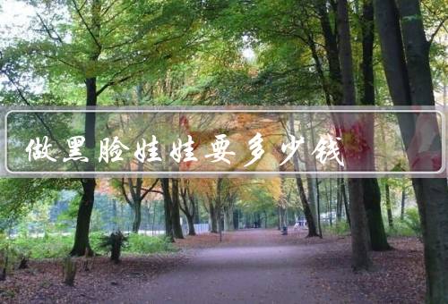 做黑脸娃娃要多少钱