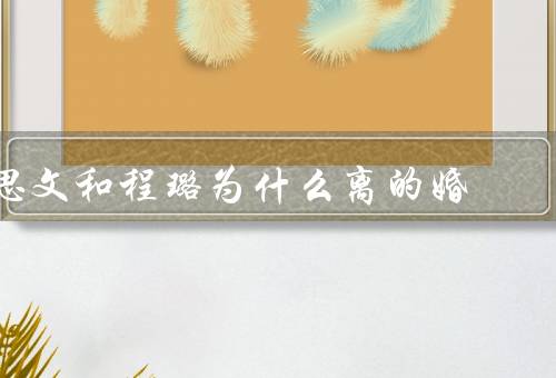 思文和程璐为什么离的婚